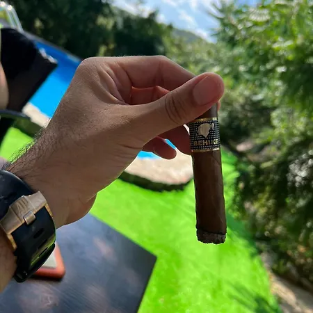 Blue Mountain * Ledince