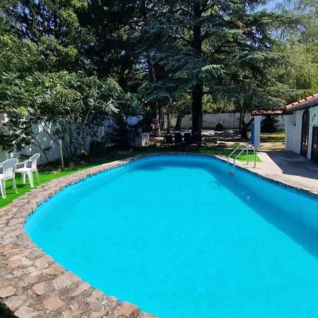 Blue Mountain * Ledince