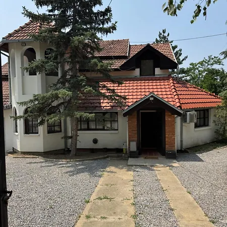 Blue Mountain * Ledince