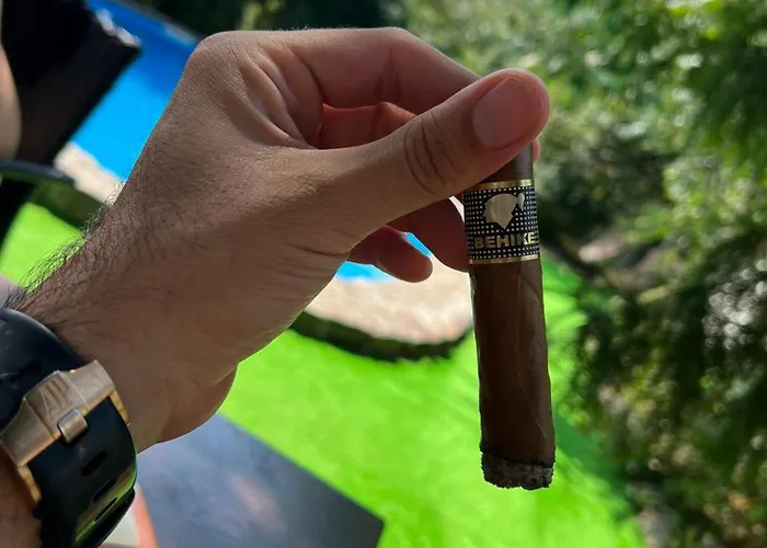 Blue Mountain * Ledinci