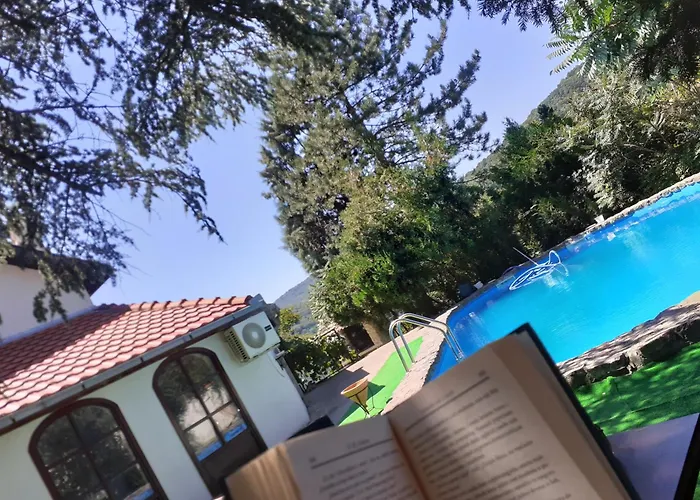 Blue Mountain * Ledinci